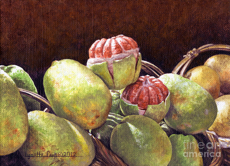 Chinese Grapefruit Painting by Lynette Cook
