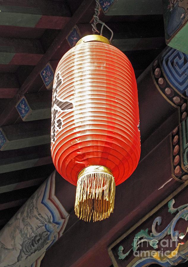 Chinese Lantern Photograph by Louise Peardon