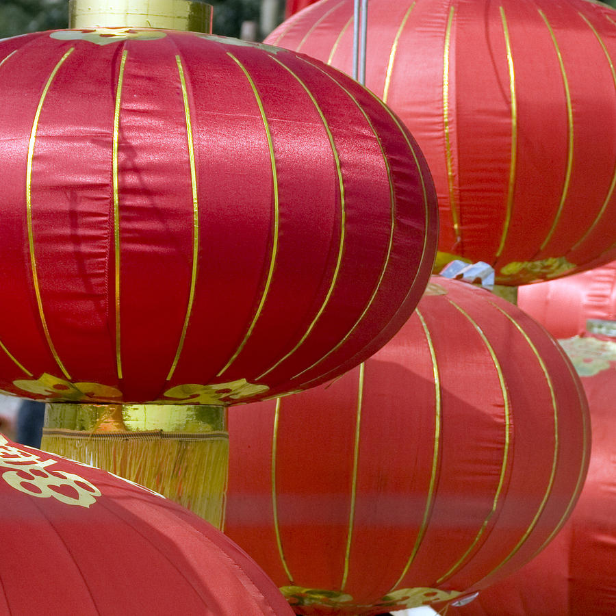 chinese lantern chinese lantern