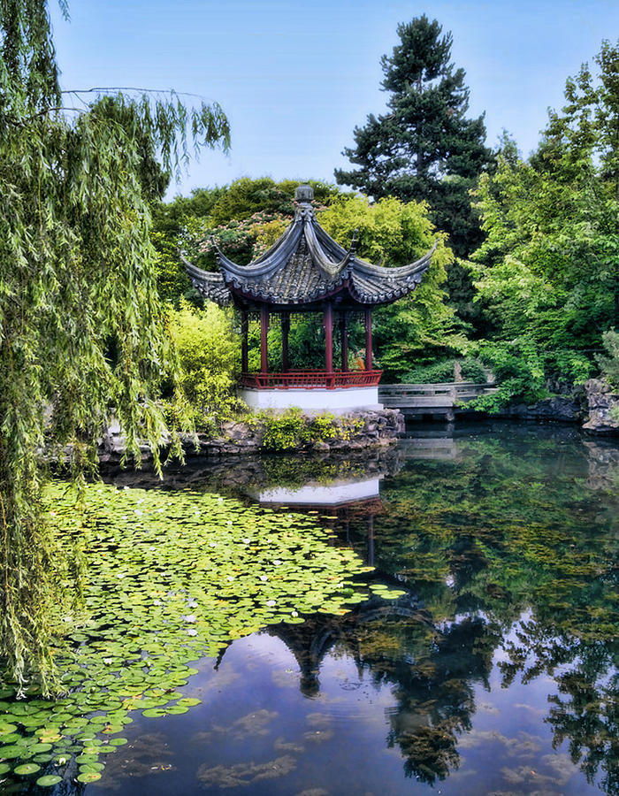 Nature Photograph - Chinese Pavilion by Diana Cox