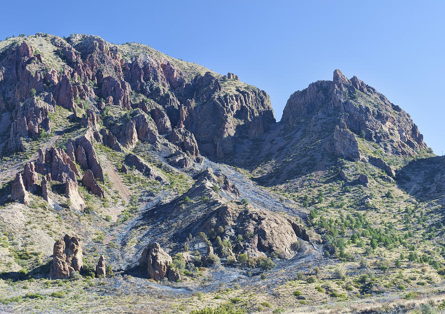 Chisos Mountain Avalanche Path Photograph by Gregory Scott