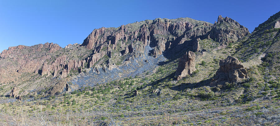 Chisos Mountain Scree or Talus Photograph by Gregory Scott