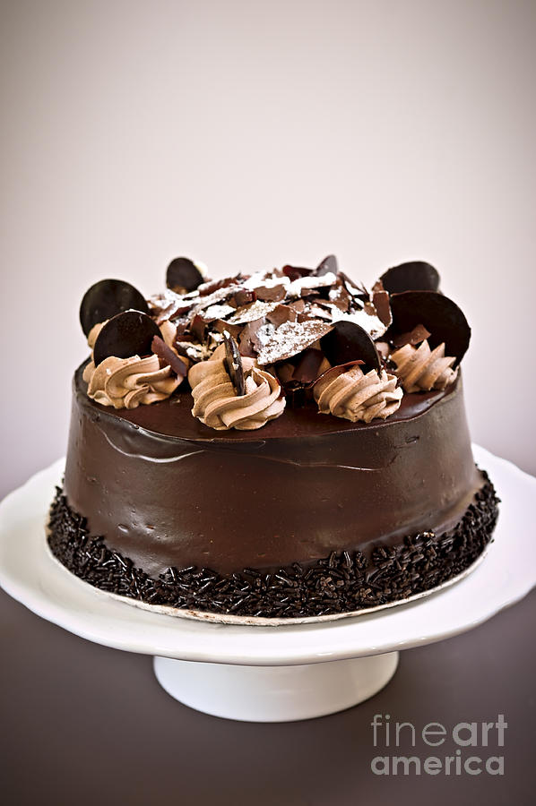 Cake Photograph - Chocolate cake 4 by Elena Elisseeva