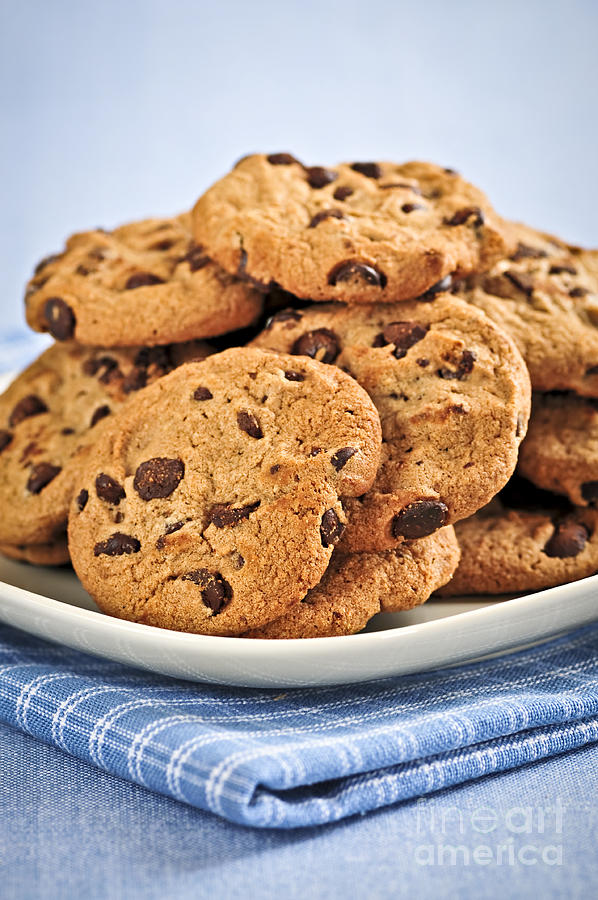Cookie Photograph - Chocolate chip cookies 5 by Elena Elisseeva