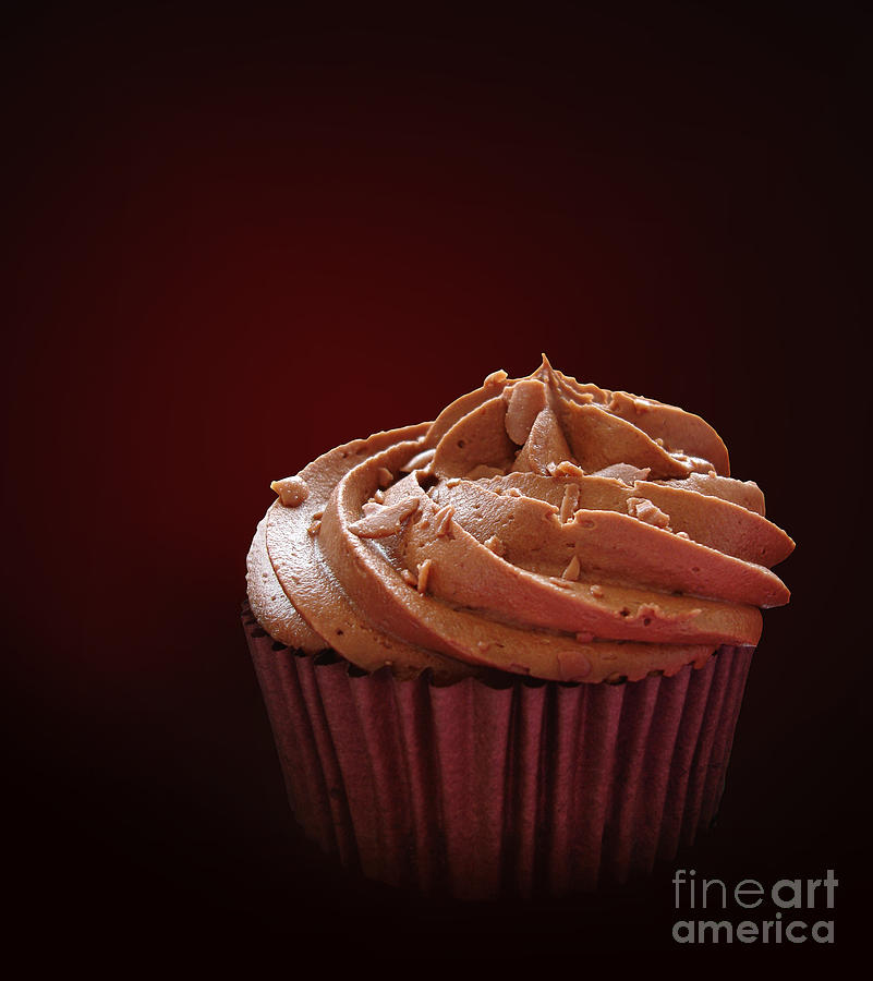Cake Photograph - Chocolate cupcake isolated by Jane Rix