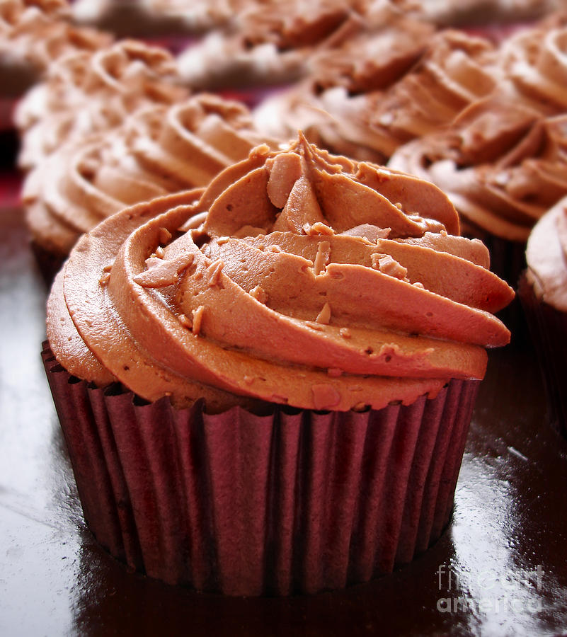Chocolate cupcakes Photograph by Jane Rix