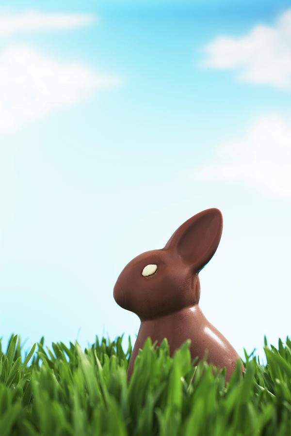 Chocolate Easter Bunny In Grass Photograph by Martin Poole Chocolate Easter Bunny In Grass Photograph by Martin Poole
