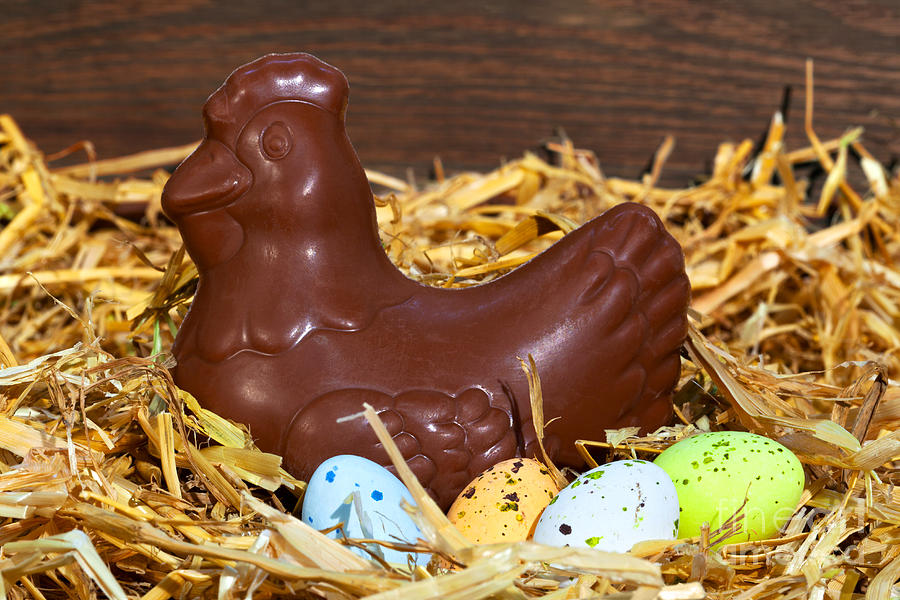 Easter Photograph - Chocolate hen sitting on easter eggs by Richard Thomas