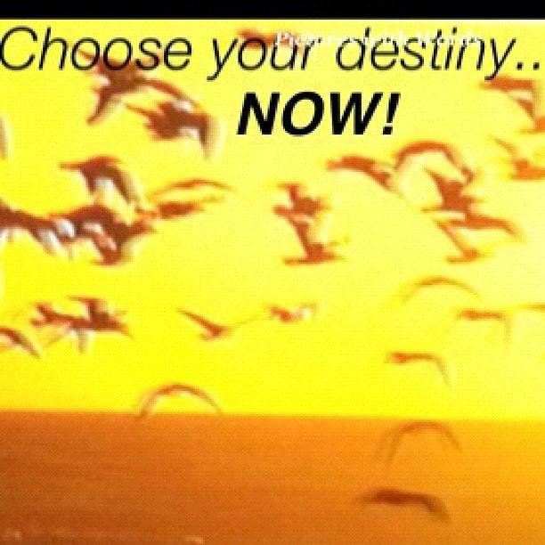 choose Your Destiny...now Photograph by Gayle Slade