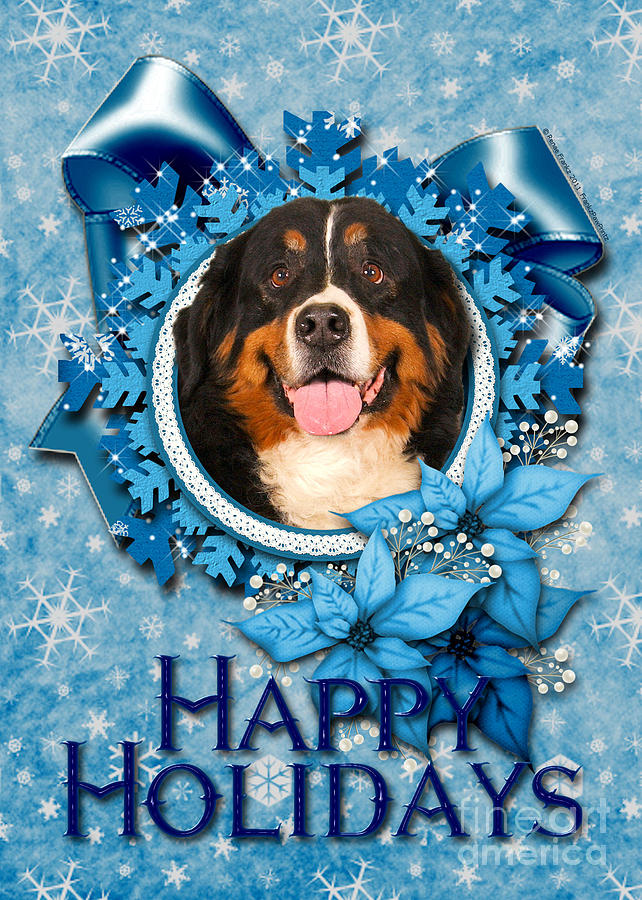 Christmas Photograph - Christmas - Blue Snowflakes Bernese Mountain Dog by Renae Crevalle