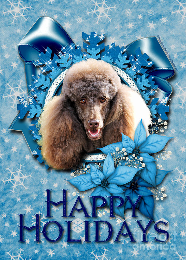 Poodle Digital Art - Christmas - Blue Snowflakes Poodle by Renae Crevalle