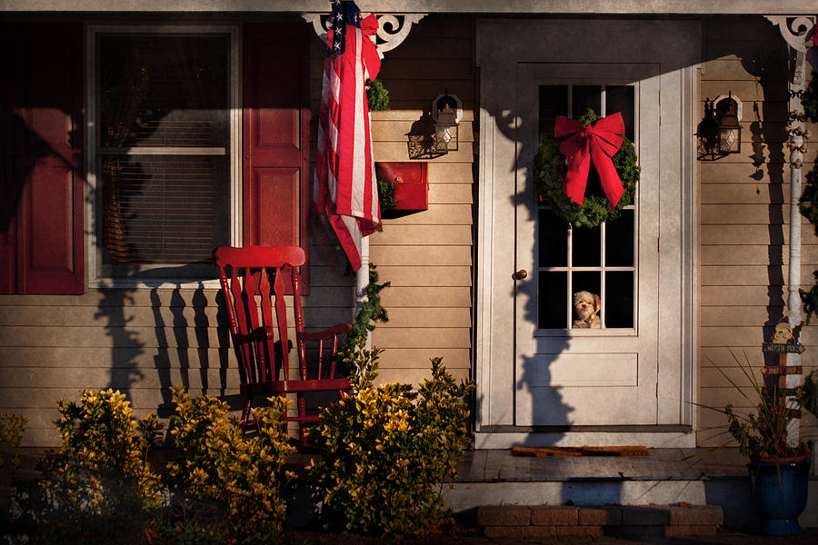 Christmas Photograph - Christmas - Clinton NJ - How much is that doggy in the window by Mike Savad