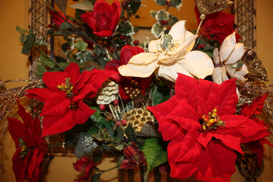 Christmas Bouquet Photograph by Yvonne Ayoub