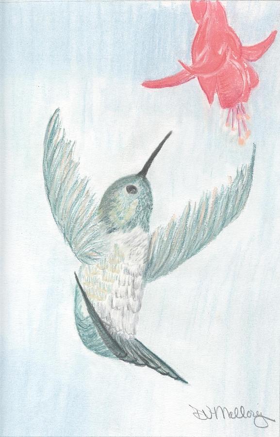 Hummingbird Drawing - Christmas Cactus by Dianne  Mallory