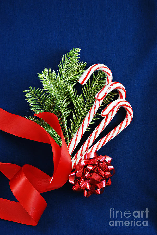 Christmas Candy Canes Photograph by HD Connelly