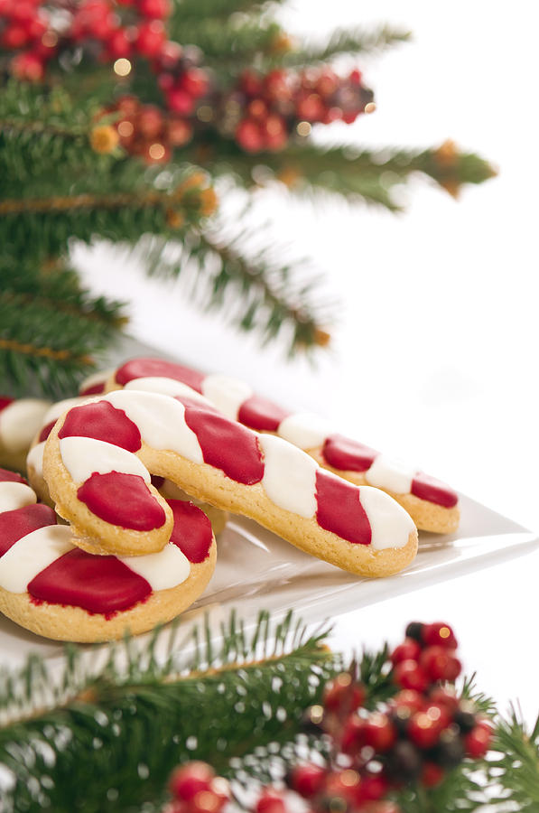 Christmas Cookies Decorated With Real Tree Branches Photograph by U Schade