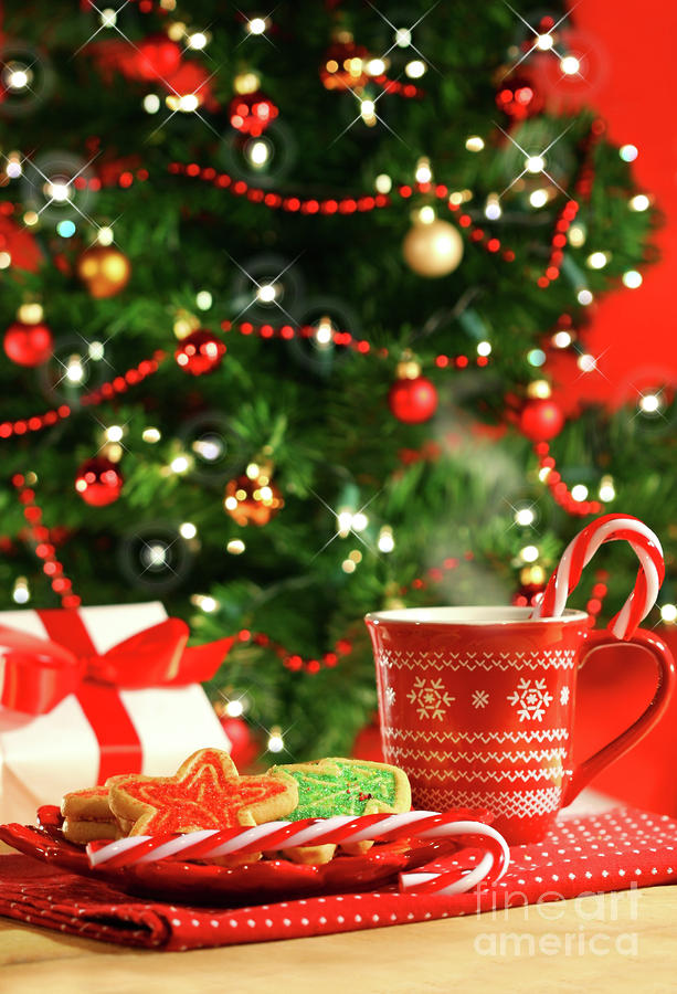 Christmas Photograph - Christmas cookies  near the  tree  by Sandra Cunningham