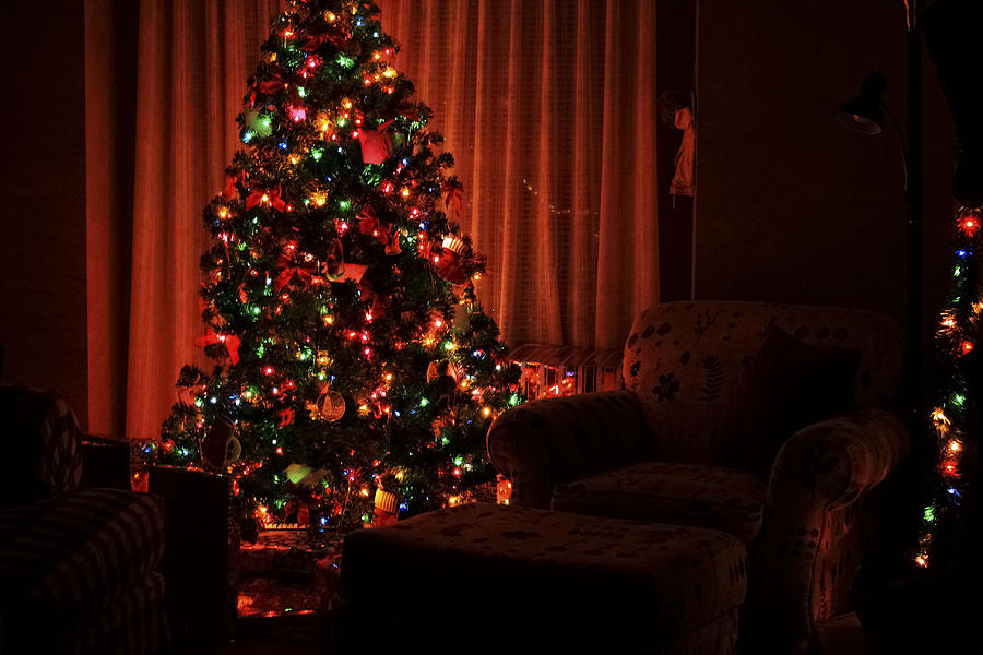 Christmas Eve Photograph by Barbara Dean