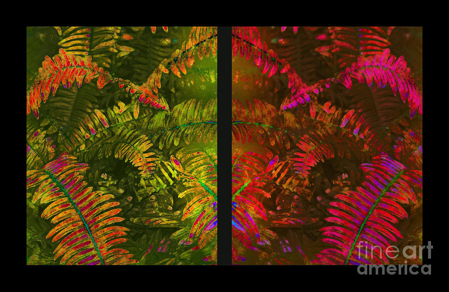 Christmas Fern Diptych Photograph by Judi Bagwell