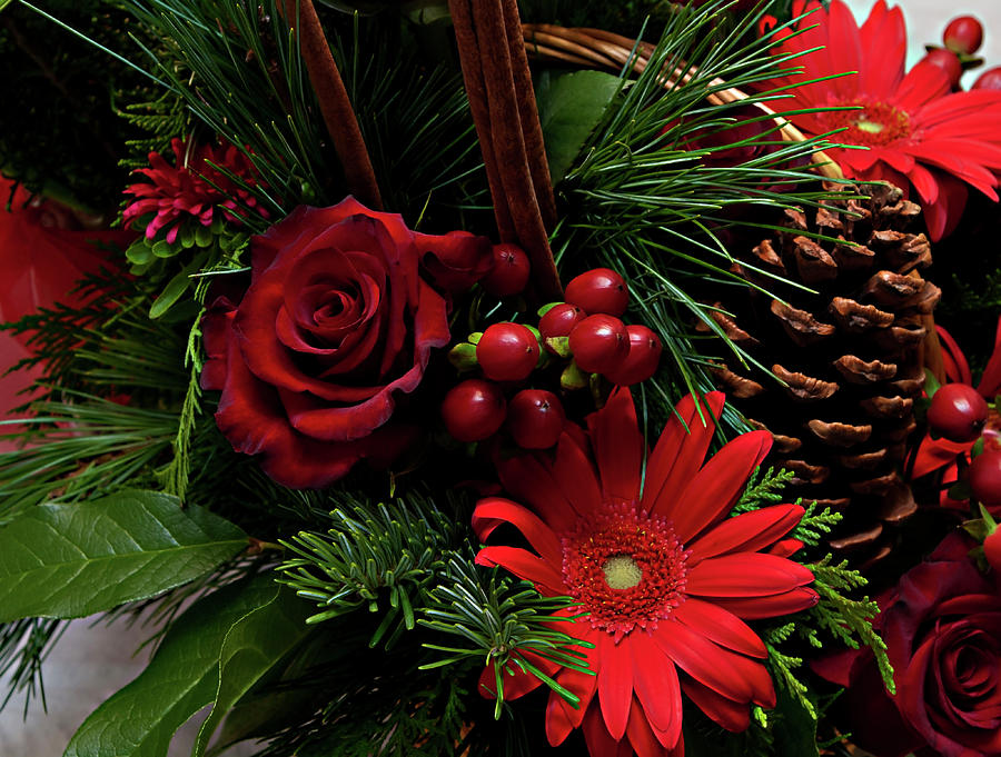Christmas Florals Photograph by ShaddowCat Arts - Sherry