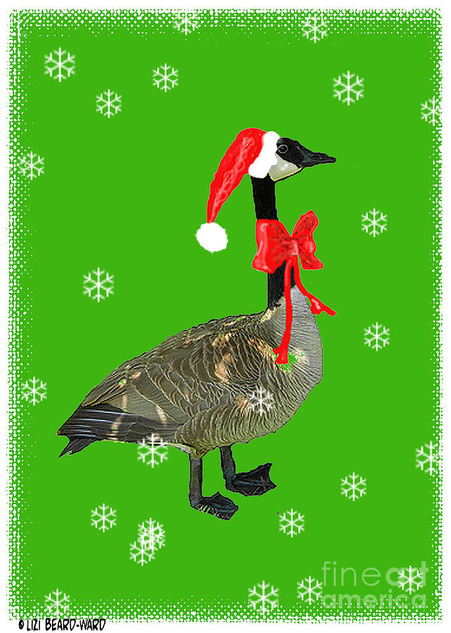 Christmas Goose Digital Art by Lizi Beard-Ward