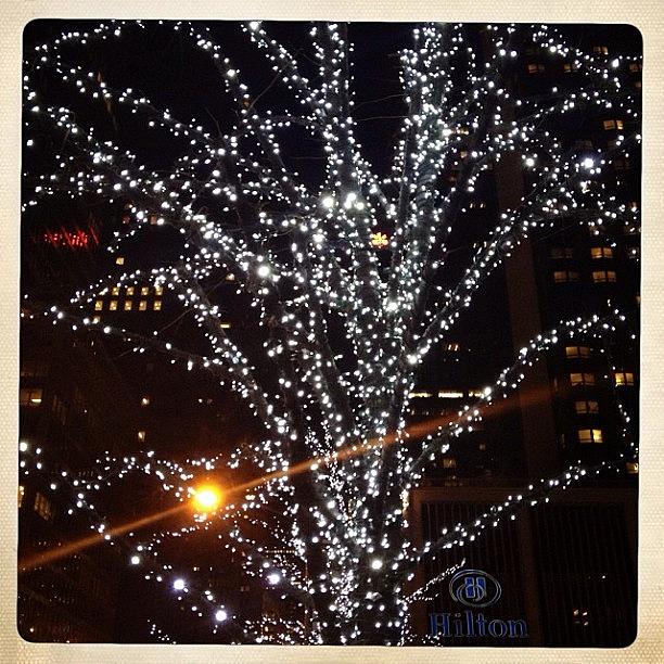 Christmas Photograph - #christmas Lights. #nyc #newyork by David Lynch