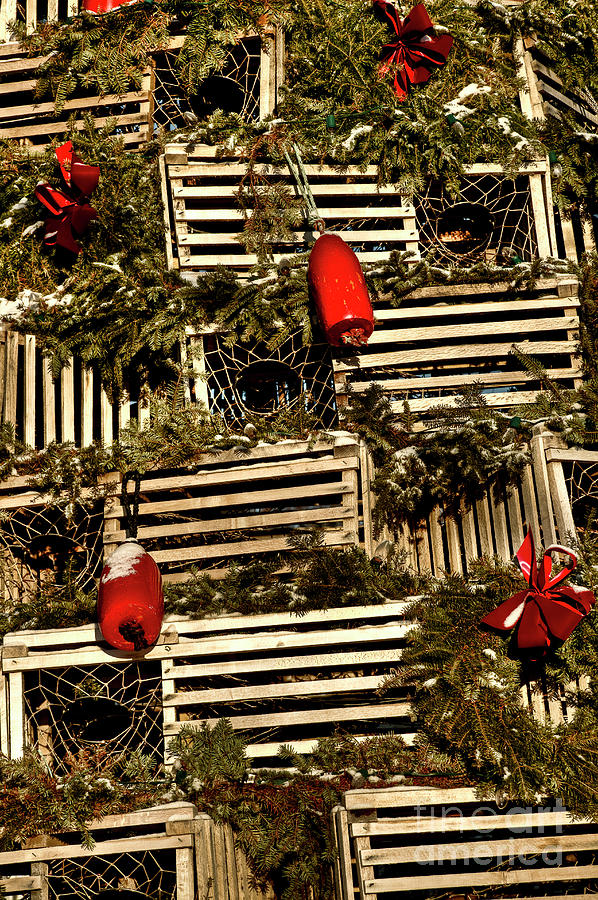 Christmas Lobster Crates Photograph by Brenda Giasson
