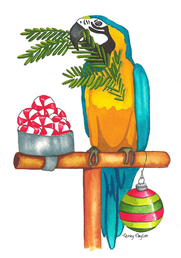 Christmas Macaw Painting by Terry Taylor