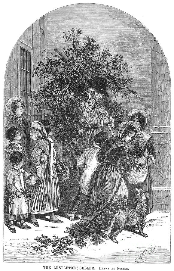 Christmas Mistletoe, 1854 Photograph by Granger