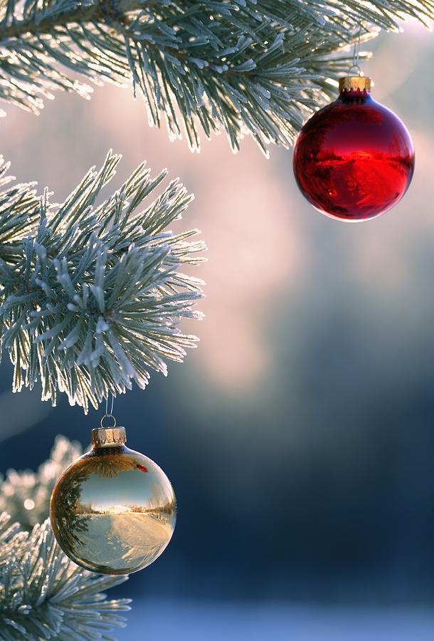 Christmas Photograph - Christmas Ornaments by Carson Ganci
