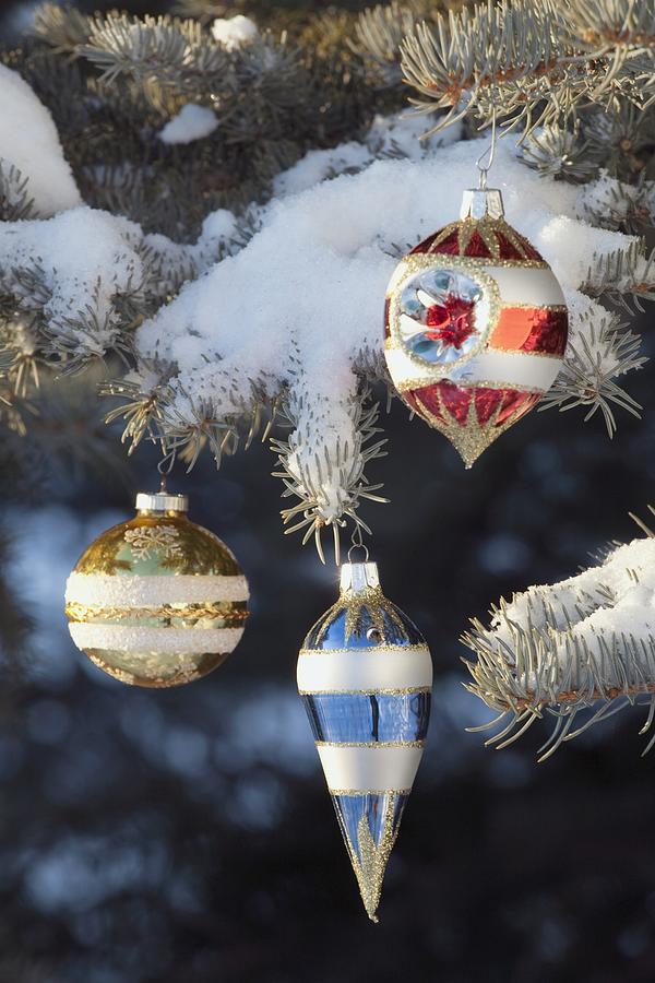 Christmas Photograph - Christmas Ornaments by Michael Interisano