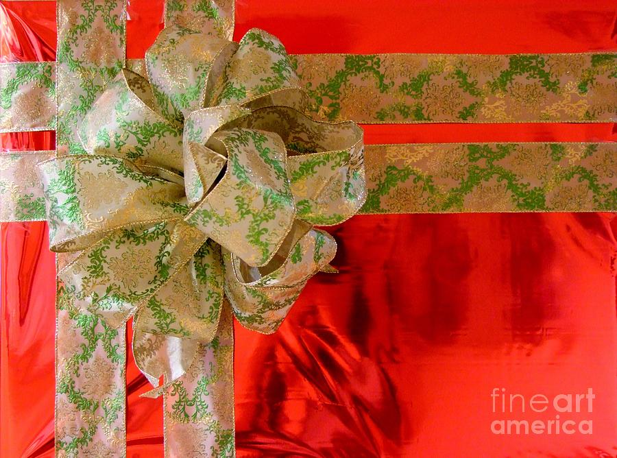 Christmas Package in Red Photograph by Mary Deal