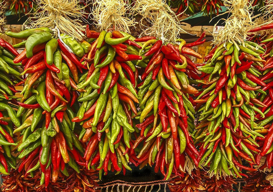 Christmas Peppers Photograph by Lou  Novick