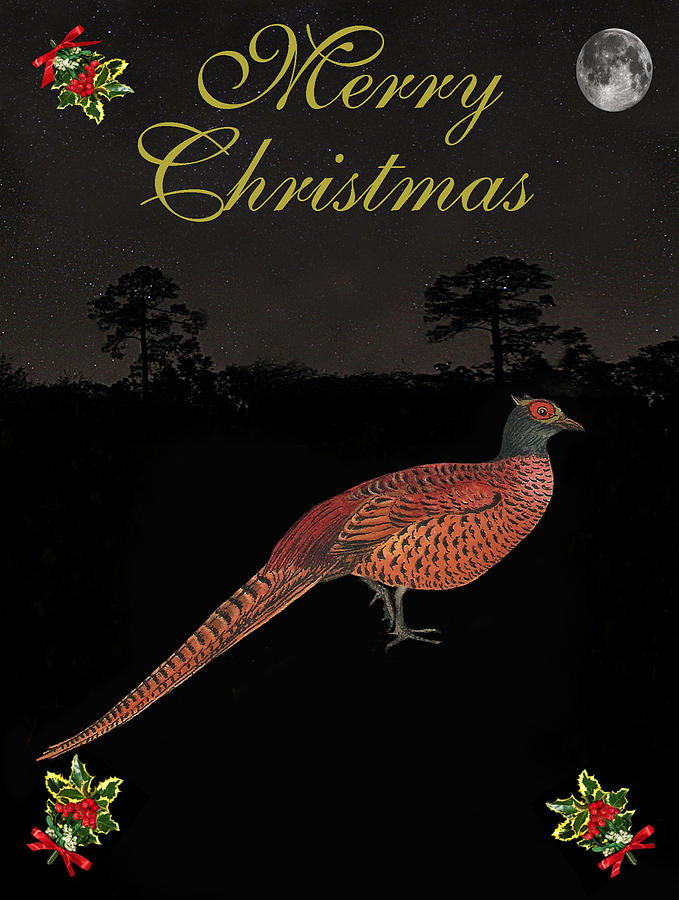 Bird Mixed Media - Christmas Pheasant by Eric Kempson