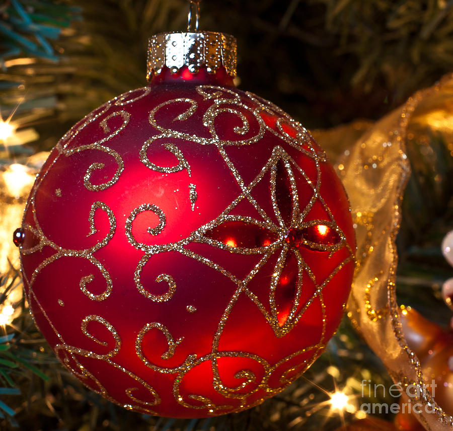Christmas Red Photograph by Lawrence Burry