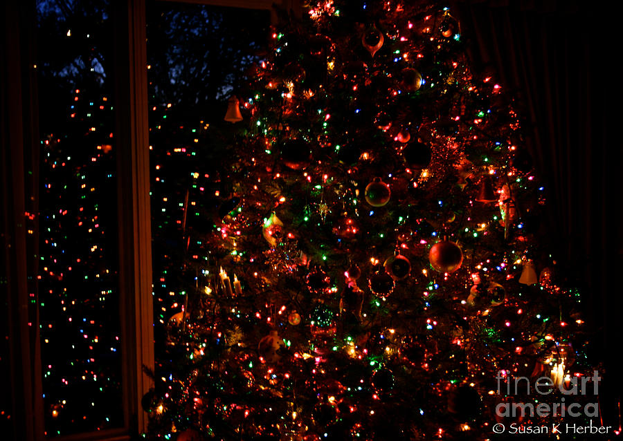 Christmas Reflections Photograph by Susan Herber