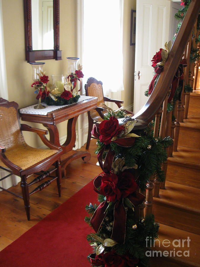 Christmas Rose and Stairs  Photograph by Nancy Patterson