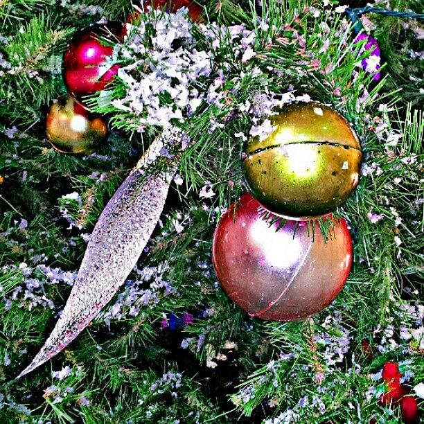 Christmas Tree / Bulbs / Ribbon Photograph by Elisa Franzetta