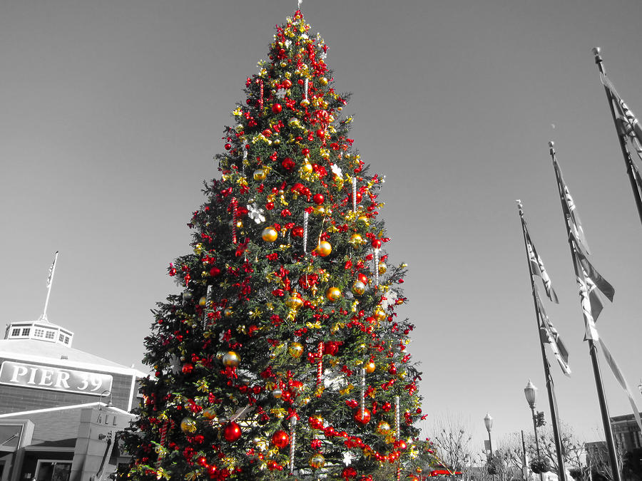 Christmas Tree at Pier 39 Photograph by Douglas Barnard Pixels