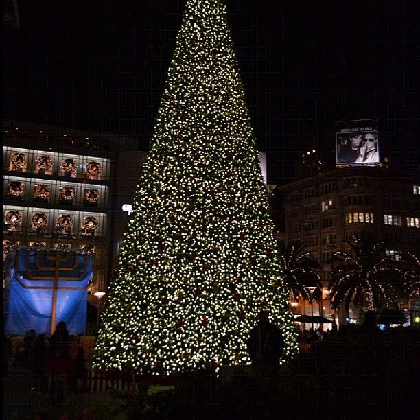 Christmas Photograph - Christmas tree at Union Square by Birgit Zimmerman