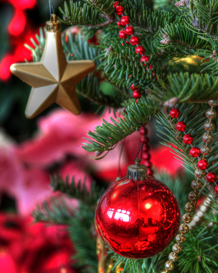 Christmas Tree Decorations Photograph