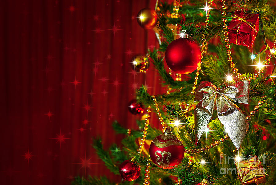 Christmas Tree Detail Photograph by Carlos Caetano