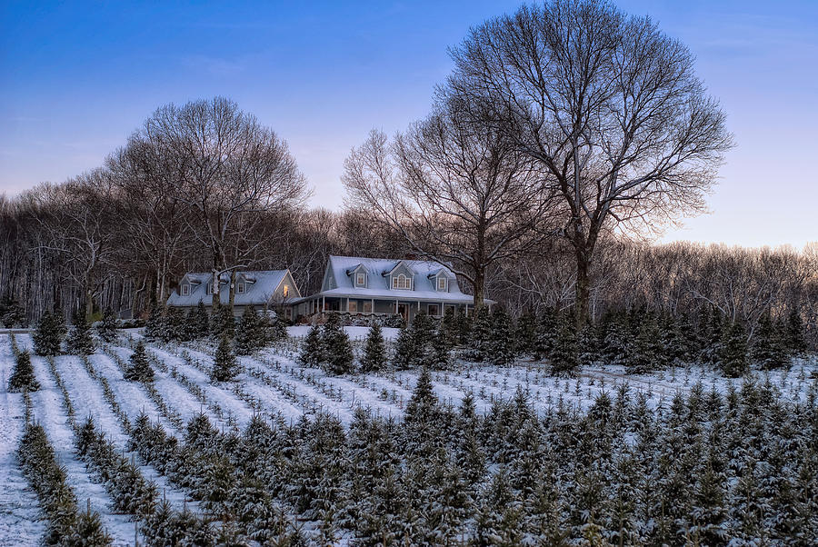 Farming tree