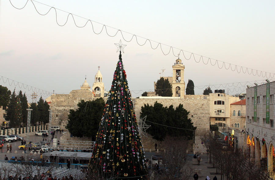Christmas Tree in Manger Square Bethlehem Photograph by Munir Alawi