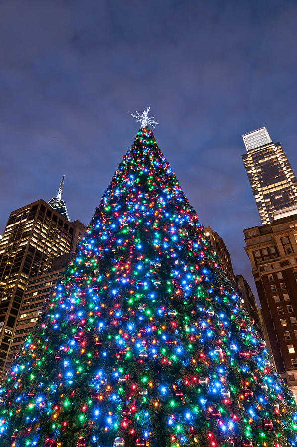 Christmas Tree In Philadelphia Downtown Photograph by Travelif