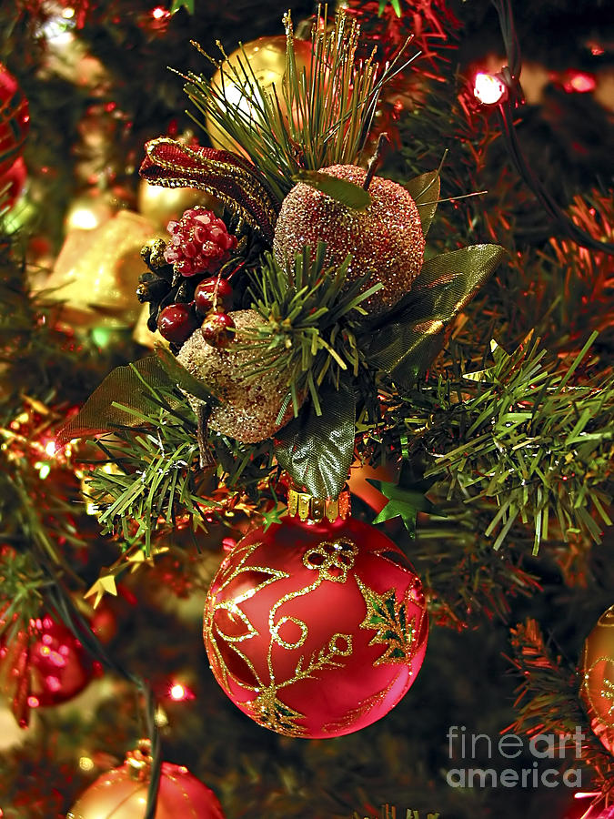 Christmas tree ornaments Photograph by Elena Elisseeva