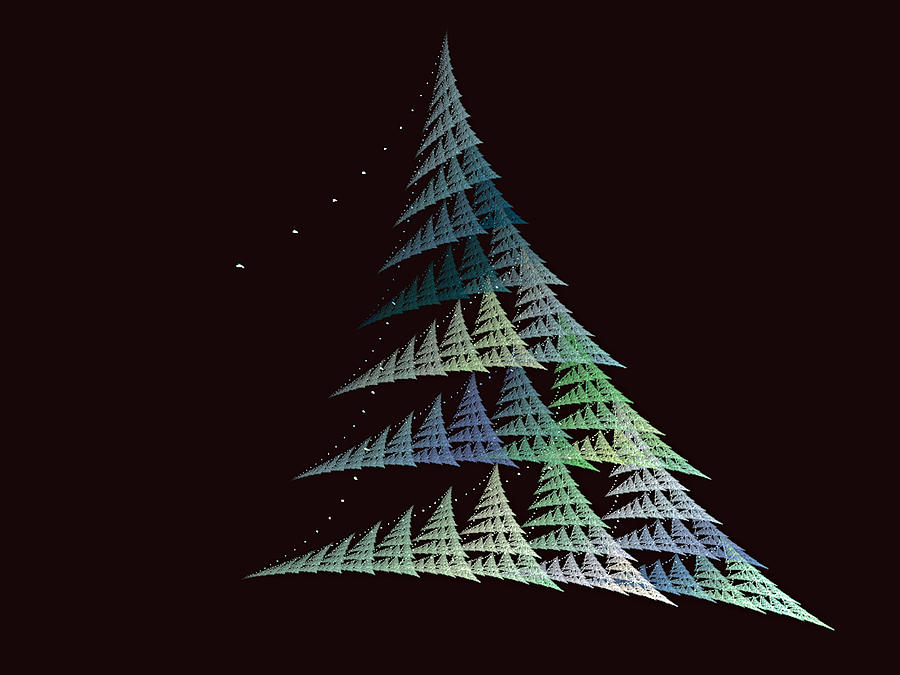 Christmas Trees Digital Art by Lynn Bolt
