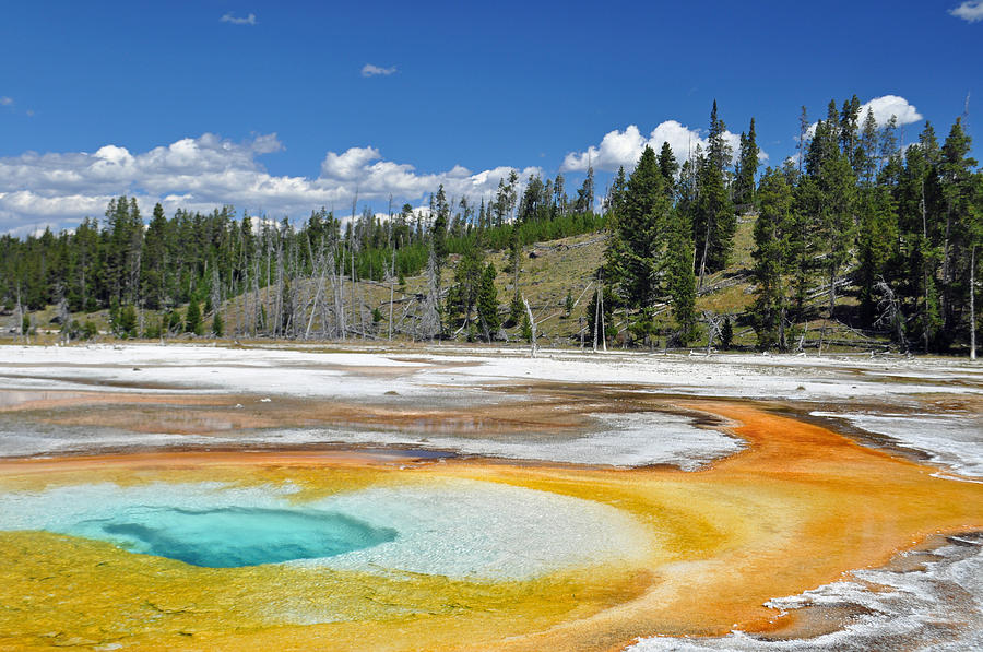 Chromatic Pool Yellowstone National Park Photograph by Bruce Gourley