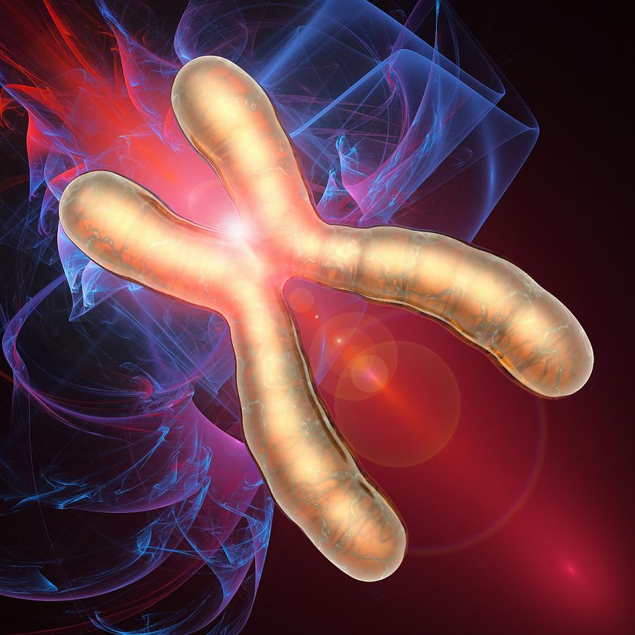 Chromosome, Artwork Digital Art by Laguna Design