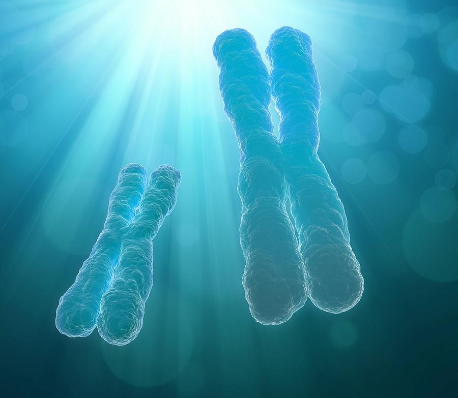 Chromosomes, Artwork Digital Art by Andrzej Wojcicki